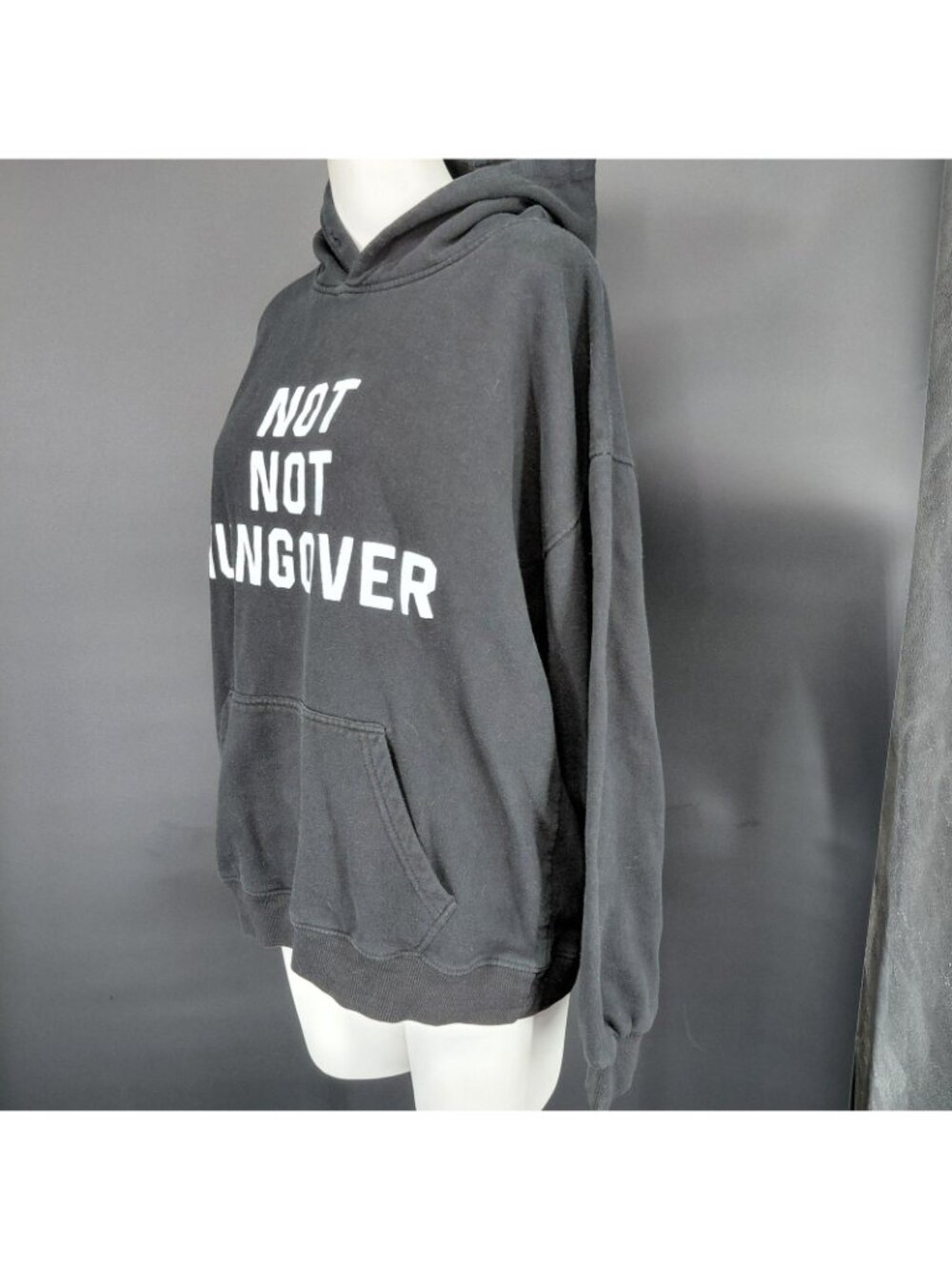 A$$holes Live Forever Hoodie Sweatshirt Mens Large Black Not Not Hungover Funny - Picture 8 of 9
